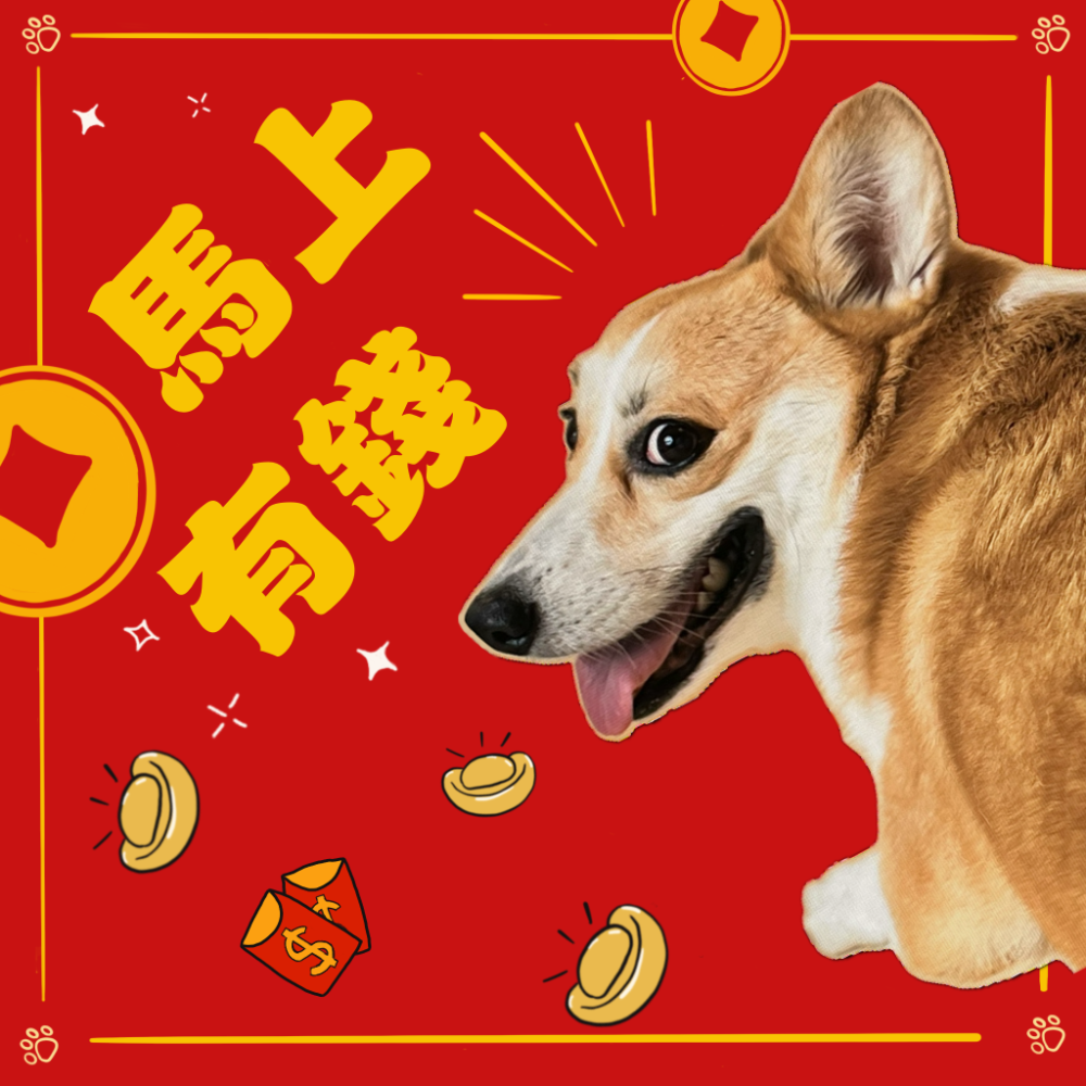 HiBu♡｜客製化寵物春聯 屬於自己的春聯 馬年春聯 2026春聯 福 旺 柯基春聯 狗狗春聯 插畫春聯 文創春聯-規格圖7