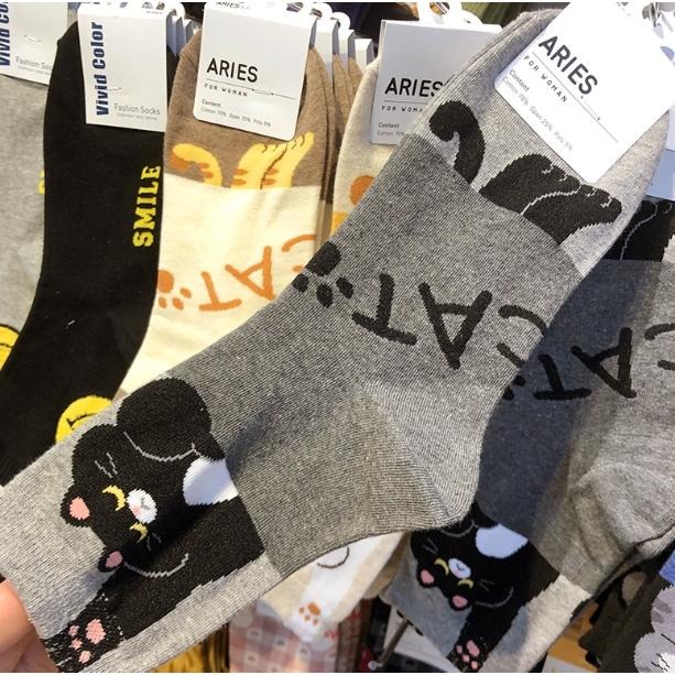 韓國灰色小貓撞色襪鞋碼36~40皆男女可穿/訂單滿99出貨-細節圖2