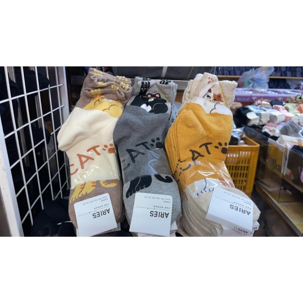 韓國灰色小貓撞色襪鞋碼36~40皆男女可穿/訂單滿99出貨-細節圖4