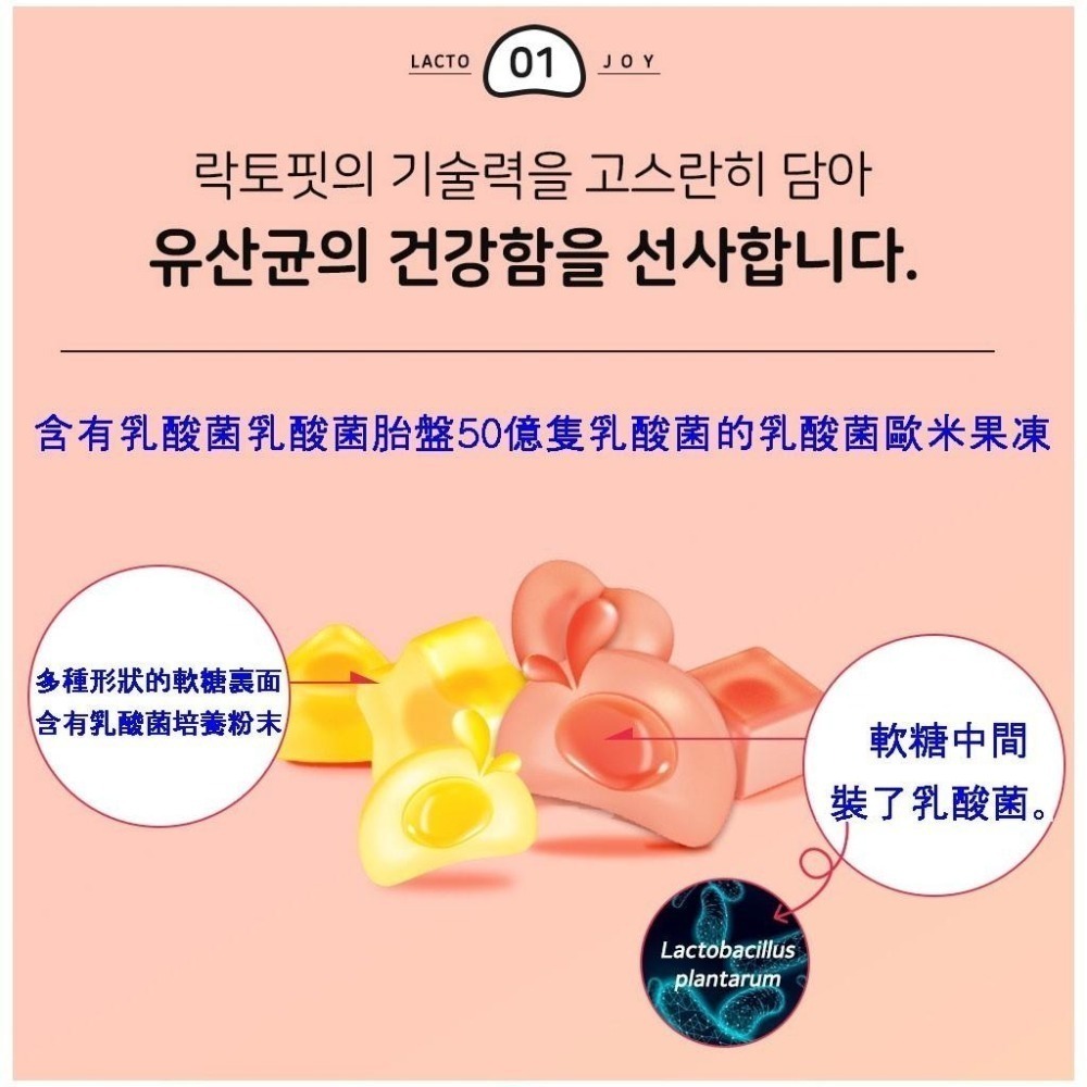 ❤️鐘根堂LACTO-FIT 益生菌軟糖/芒果/水蜜桃 ❤️ 12包芒果+12包水蜜桃-細節圖2