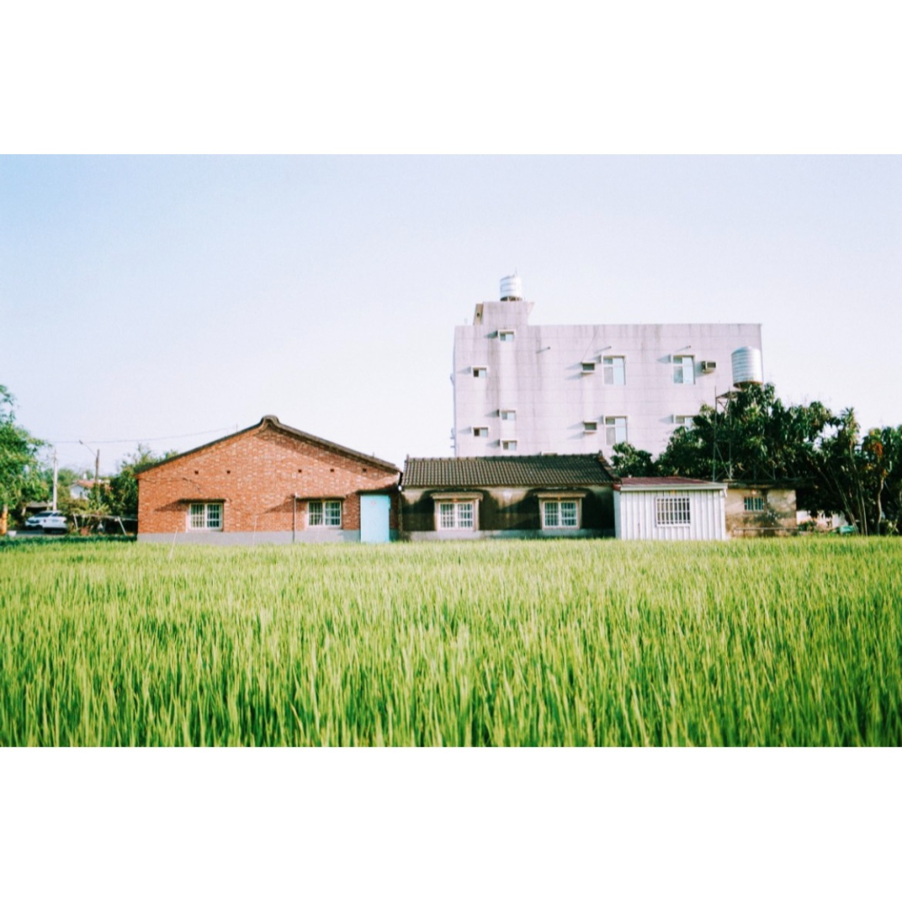 Kodak 柯達 Colorplus 200 135底片 36張 底片 彩色負片 底片相機 膠捲 復古-細節圖4