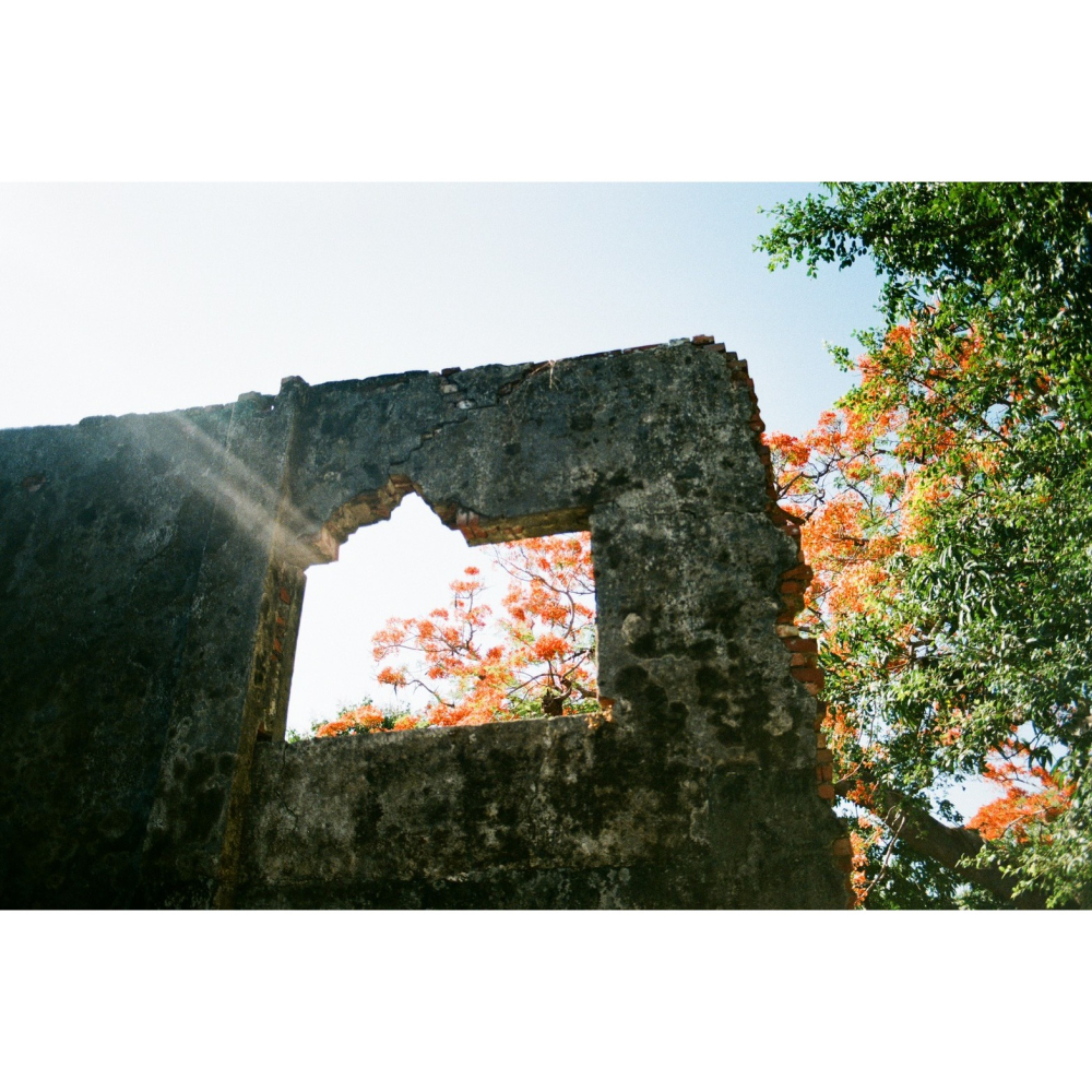Kodak 柯達 Colorplus 200 135底片 36張 底片 彩色負片 底片相機 膠捲 復古-細節圖5