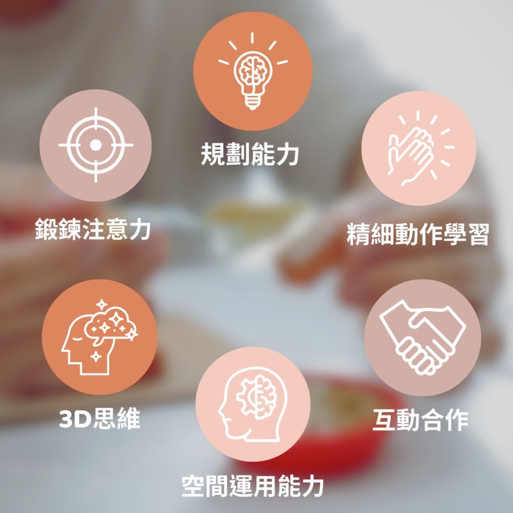 【德國teifoc】DIY益智磚塊建築玩具 北歐石砌花園洋房 DIY手作 建築模型 兒童玩具-細節圖3