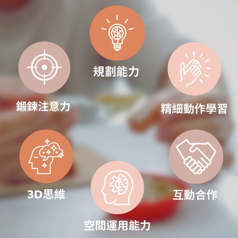 【德國teifoc】DIY益智磚塊建築玩具 北歐石砌花園洋房 DIY手作 建築模型 兒童玩具-細節圖3