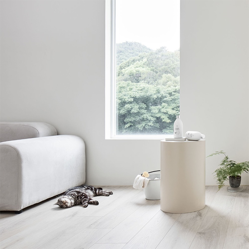 【野田實驗室】北美荊芥地板清潔劑  貓咪家庭專用 貓薄荷 免運 寵物 貓咪家庭適用 純天然 幼兒 中性-細節圖4