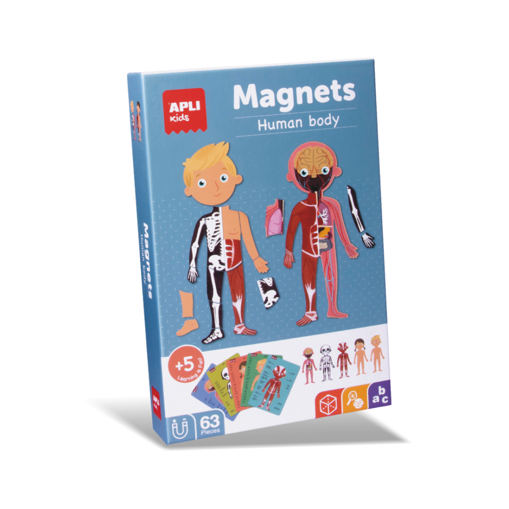 【西班牙APLI Kids】認識身體器官學習卡-英文版-18531 人體認知 學習卡片 兒童教具 認知遊戲 英文教具-細節圖2