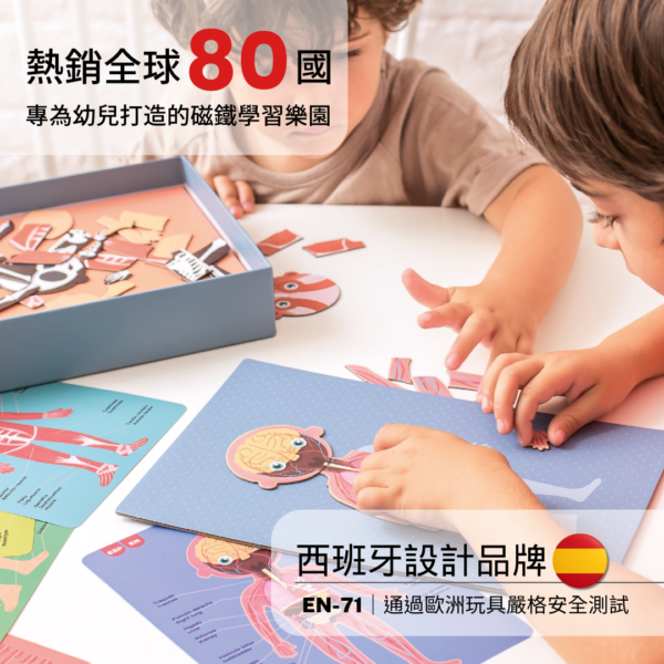 【西班牙APLI Kids】認識身體器官學習卡-英文版-18531 人體認知 學習卡片 兒童教具 認知遊戲 英文教具-細節圖3