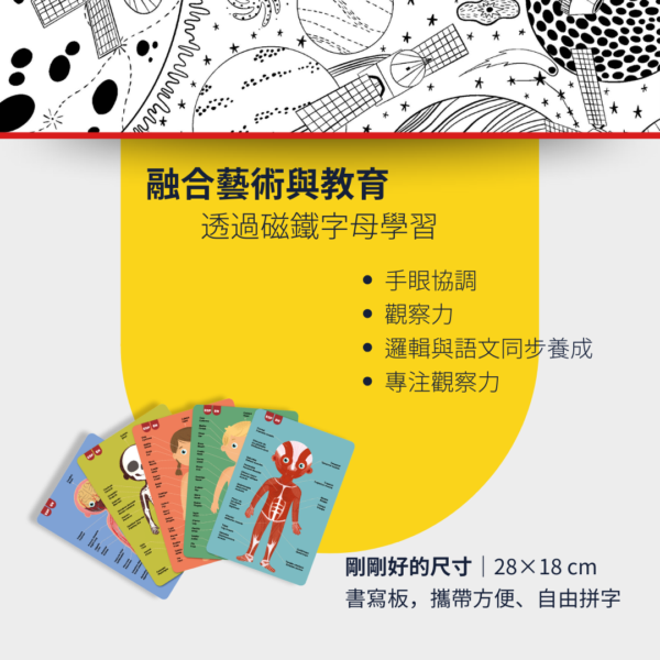 【西班牙APLI Kids】認識身體器官學習卡-英文版-18531 人體認知 學習卡片 兒童教具 認知遊戲 英文教具-細節圖4