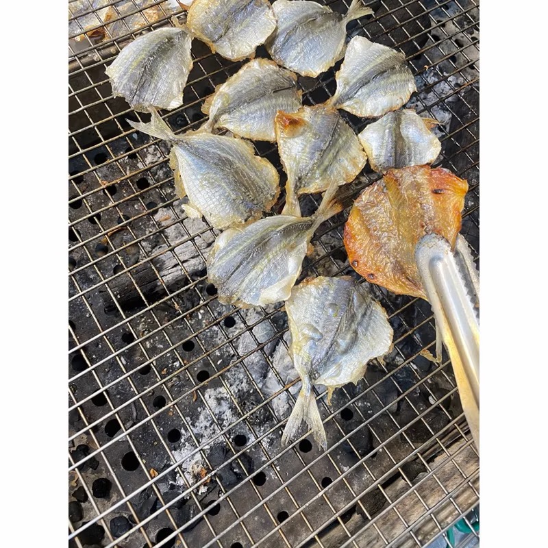 練家班碳烤魷魚（炭烤竹莢魚）-細節圖3