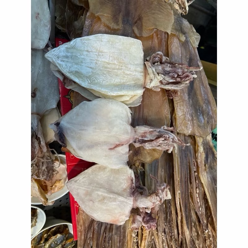 練家班炭烤魷魚（天然小透抽）中五入-細節圖3
