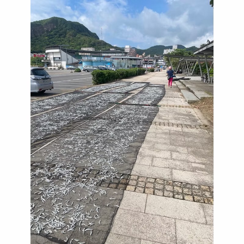 練家班碳烤魷魚（本港的小魚乾🐟）-細節圖4