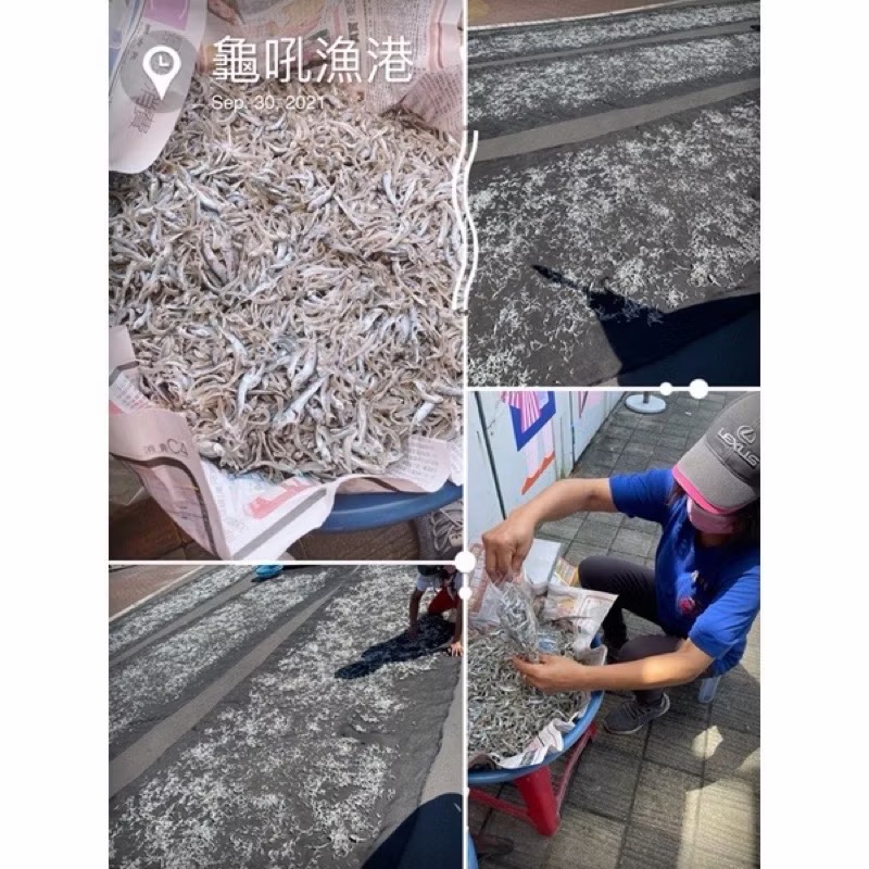 練家班碳烤魷魚（本港的小魚乾🐟）-細節圖5
