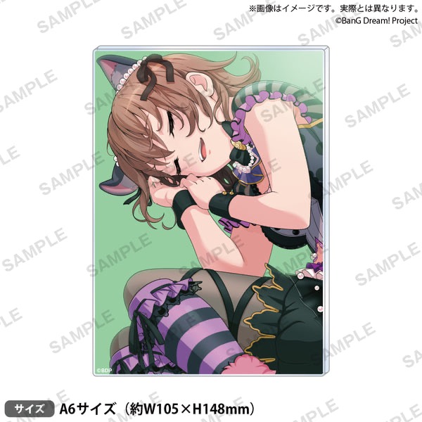 [次元之橋] 6月預購 BanG Dream 信澤收展 第2彈 壓克力板 Pastel Palettes-規格圖1