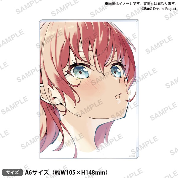 [次元之橋] 6月預購 BanG Dream 信澤收展 第2彈 壓克力板 RAISE A SUILEN-規格圖1