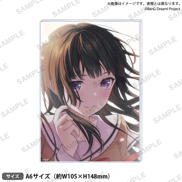 [次元之橋] 6月預購 BanG Dream 信澤收展 第2彈 壓克力板 Roselia-規格圖1