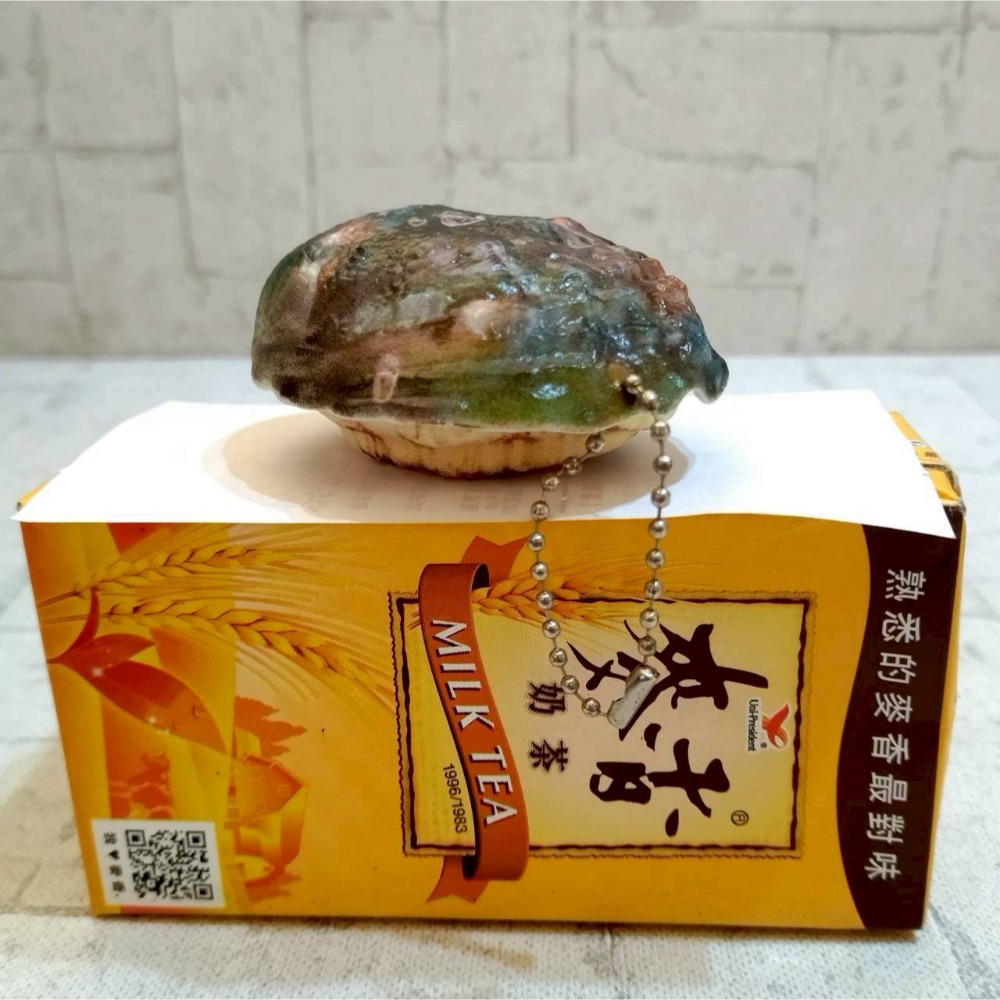 【家德小舖】鮑魚 肉質鮮美 仿真 吊飾 可按壓 可當水槍 鮑迷必備 全新 7公分 鮑魚殼 海鮮 玩具 海產 掛飾 假食物-細節圖4