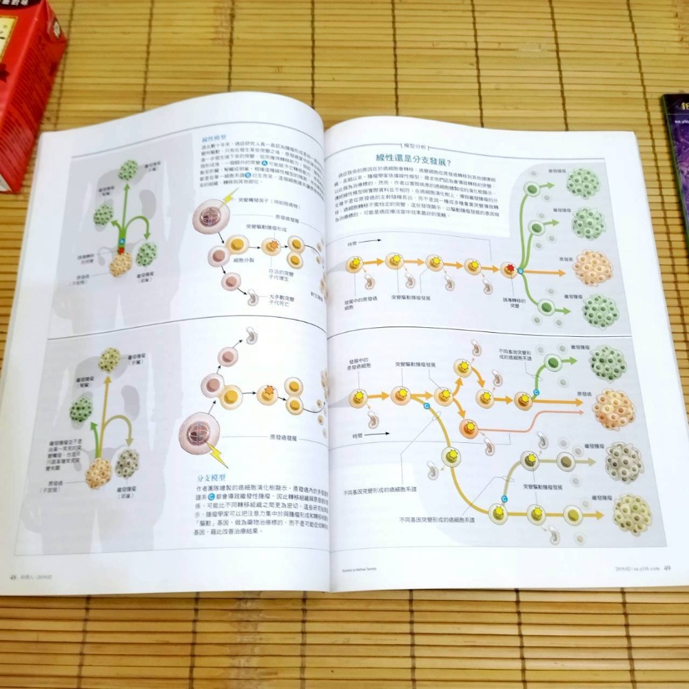 【家德小舖】科學人雜誌 2019年 1至7月號 第203期至209期 二手 九成新 書籍 量子 我跑故我在 重力 月球-細節圖6