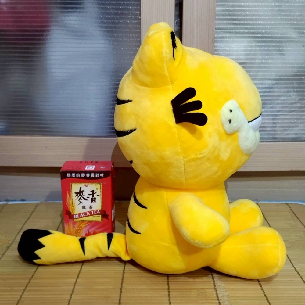 【家德小舖】加菲貓 Garfield 12吋 娃娃 全新 正版授權 33公分 玩偶 絨毛 玩偶 玩具 老姜 歐弟-細節圖3