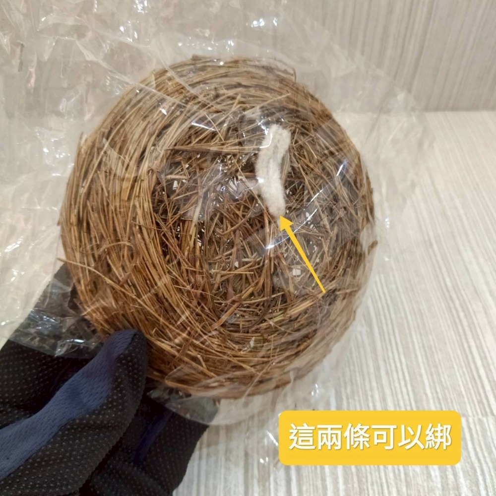【家德小舖】鳥巢 鳥窩 孵蛋巢 手工藤編 草編 全新 圓直徑13公分 鳥類 鸚鵡 玩具 睡覺窩 飼養 稻草 文鳥盤 小鳥-細節圖3