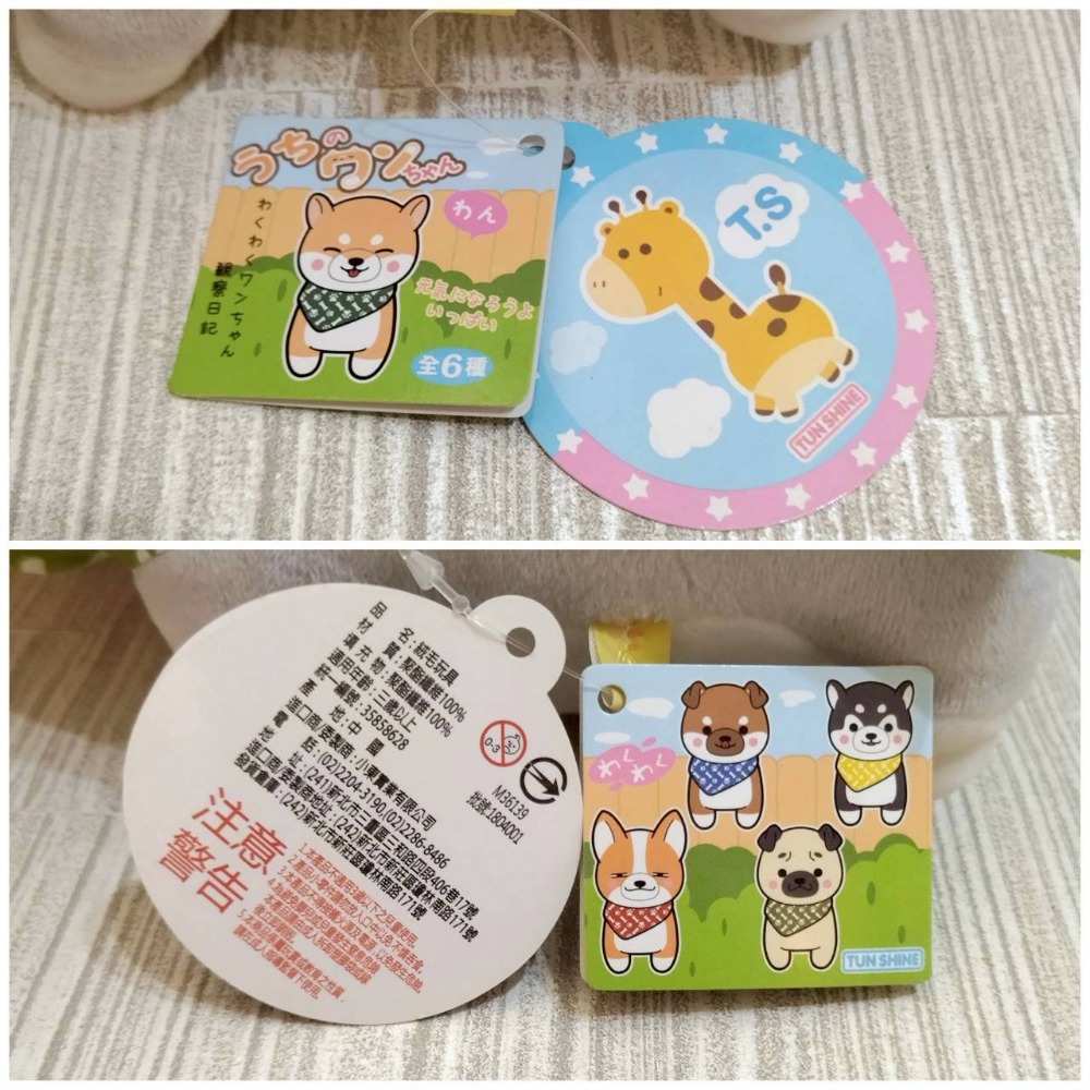 【家德小舖】灰柴犬 眼鏡披風款 我家的汪醬觀察日記 娃娃 TUN SHINE 正版授權 全新 柴犬 絨毛 狗 玩偶 布偶-細節圖7