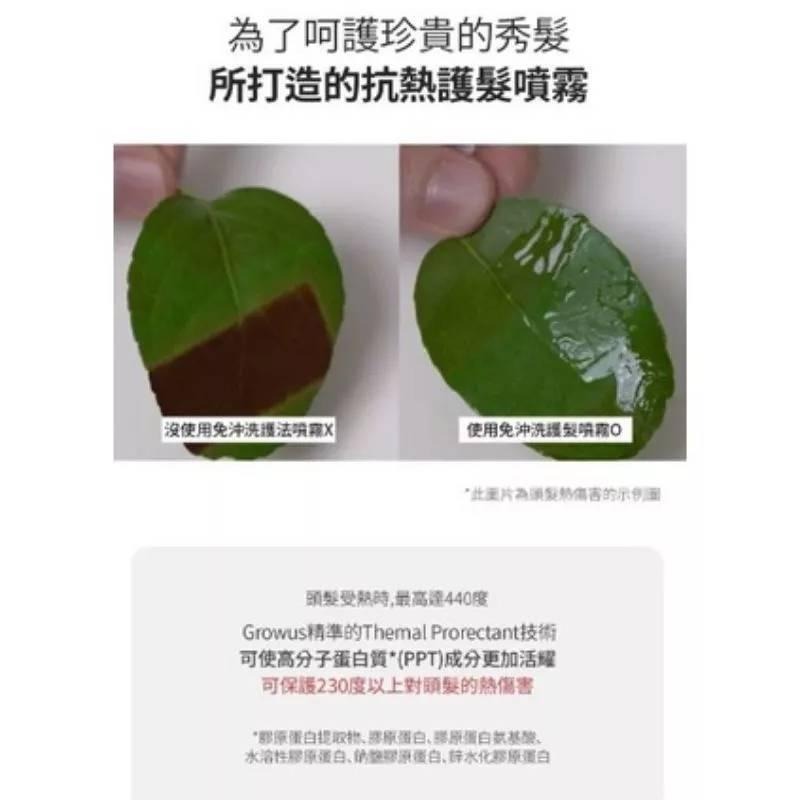 【GROWUS】🇰🇷珍珠粉免沖洗護髮噴霧250ml / 深海修復洗髮露500ml / 海鹽頭皮去角質洗髮精120g-細節圖7