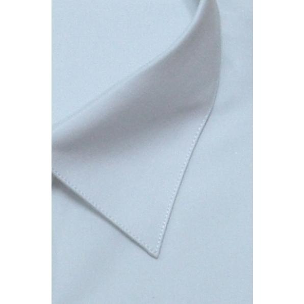 【阿信防皺襯衫】天絲棉 女長袖襯衫 貨號4002 白襯衫 女襯衫 長袖襯衫 修身顯瘦 防皺不易皺 好整理 通勤穿搭 現貨-細節圖2