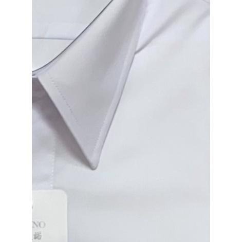 【阿信防皺襯衫】莫代爾 男長袖襯衫 貨號801 男襯衫 白襯衫 長袖襯衫 防皺不易皺 標準領 上班通勤 面試 開會 現貨-細節圖3