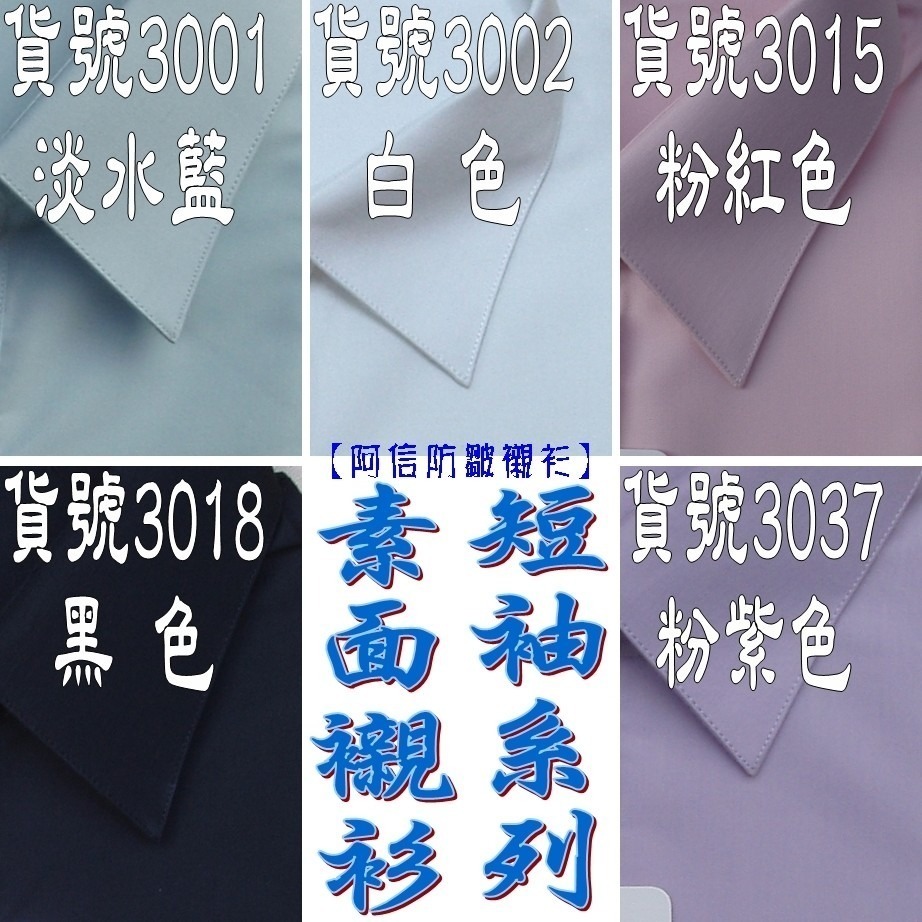 【阿信防皺襯衫】女襯衫 女短袖襯衫 白襯衫 OL 上班 面試 防皺 修身 俐落 素面 條紋 天絲棉 現貨-細節圖3