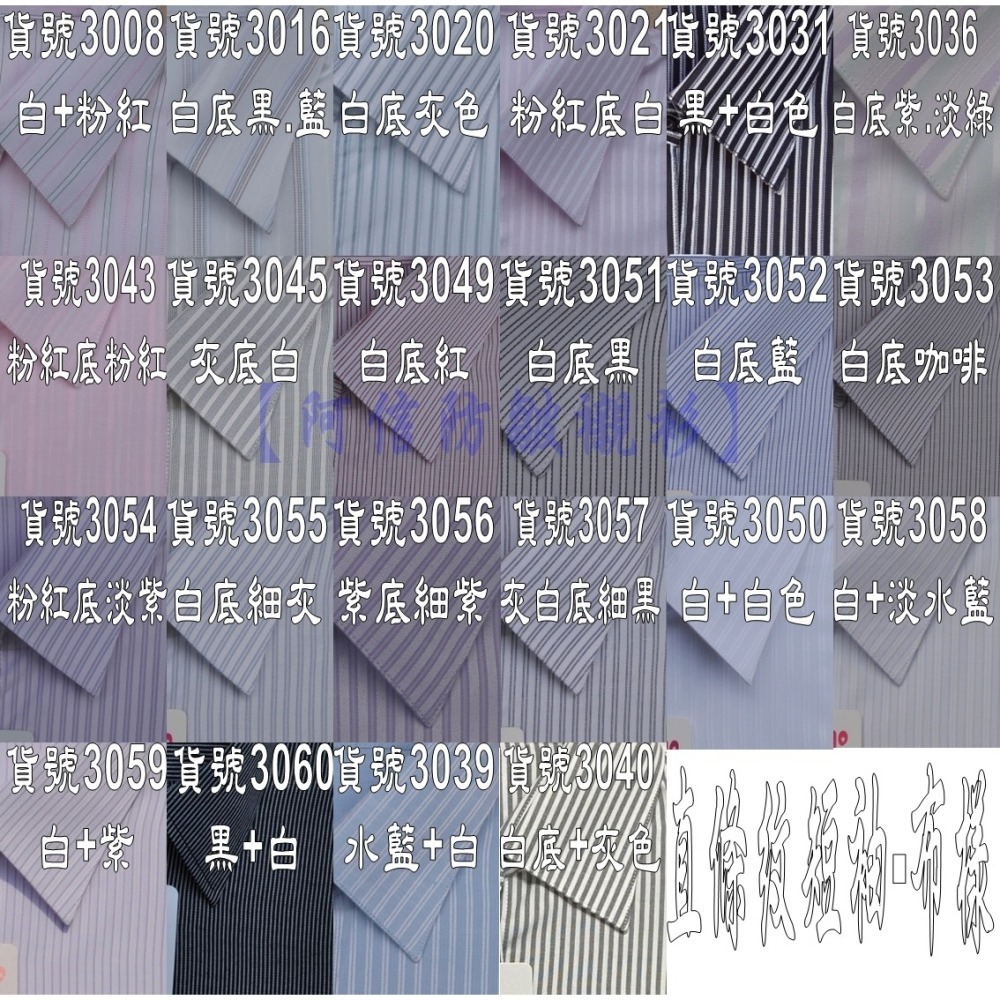 【阿信防皺襯衫】女襯衫 女短袖襯衫 白襯衫 OL 上班 面試 防皺 修身 俐落 素面 條紋 天絲棉 現貨-細節圖5