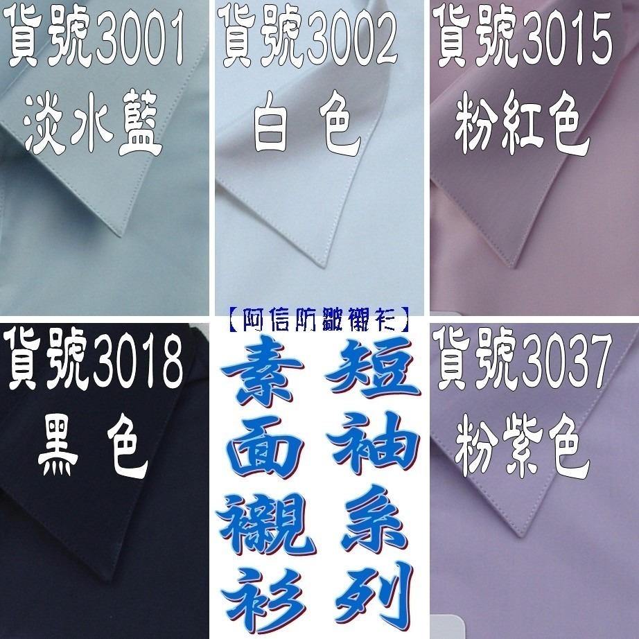 【阿信防皺襯衫】女襯衫 女短袖襯衫 上班 面試 OL 白襯衫 防皺 修身 好整理 素面 條紋 多色 天絲棉 現貨-細節圖3