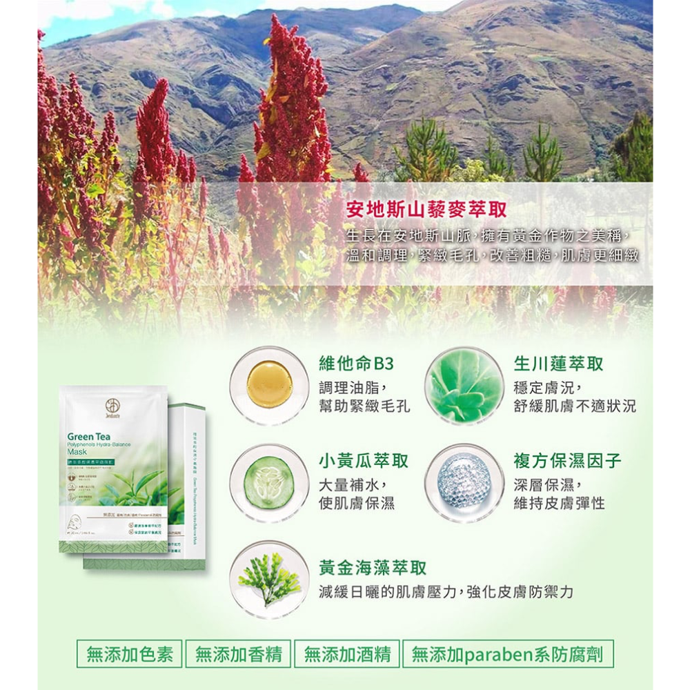 正品現貨✨20261119綠茶多酚保濕平衡面膜*5片/盒  佐登妮絲 珍朵絲特-細節圖6