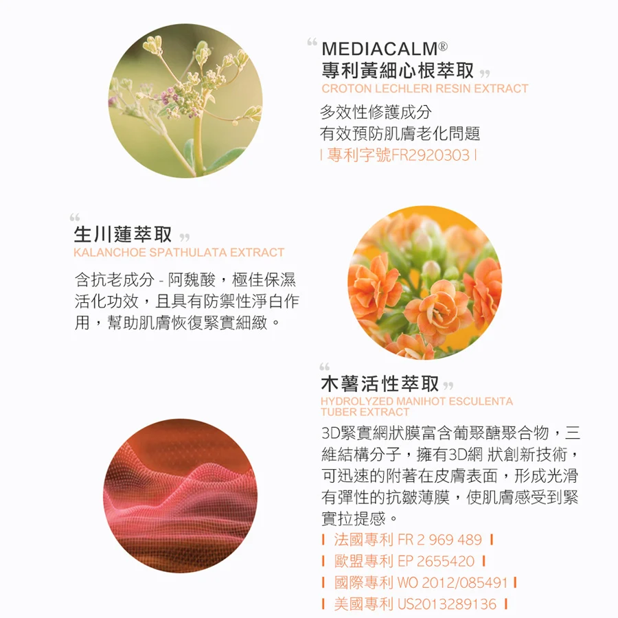 現貨正品✨效期20260725龍血求麗緊顏修護面膜*5片/佐登妮絲 珍朵絲特-細節圖8