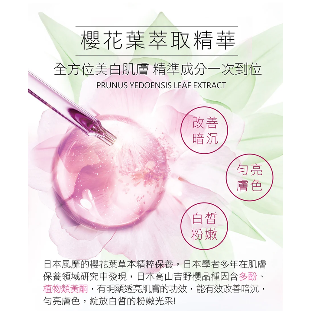 現貨正品✨20260723櫻の雪傳明酸美白面膜*5片/盒佐登妮絲 珍朵絲特-細節圖4