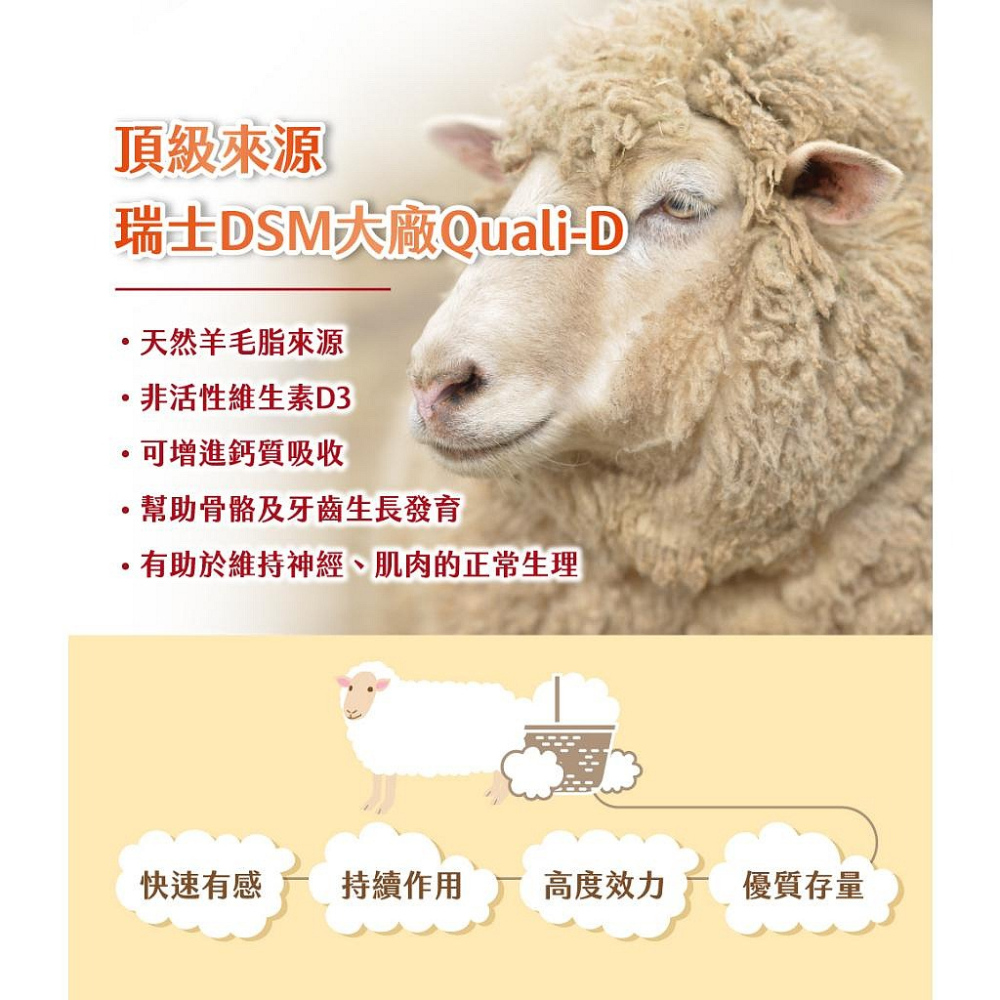孕哺兒 陽光維生素D3 複方微量元素 口嚼錠60粒-細節圖8
