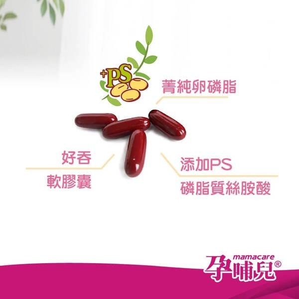 孕哺兒 卵磷脂+磷脂質PS膠囊 90粒 最新效期 卵磷脂 備孕、懷孕、哺乳期-細節圖4
