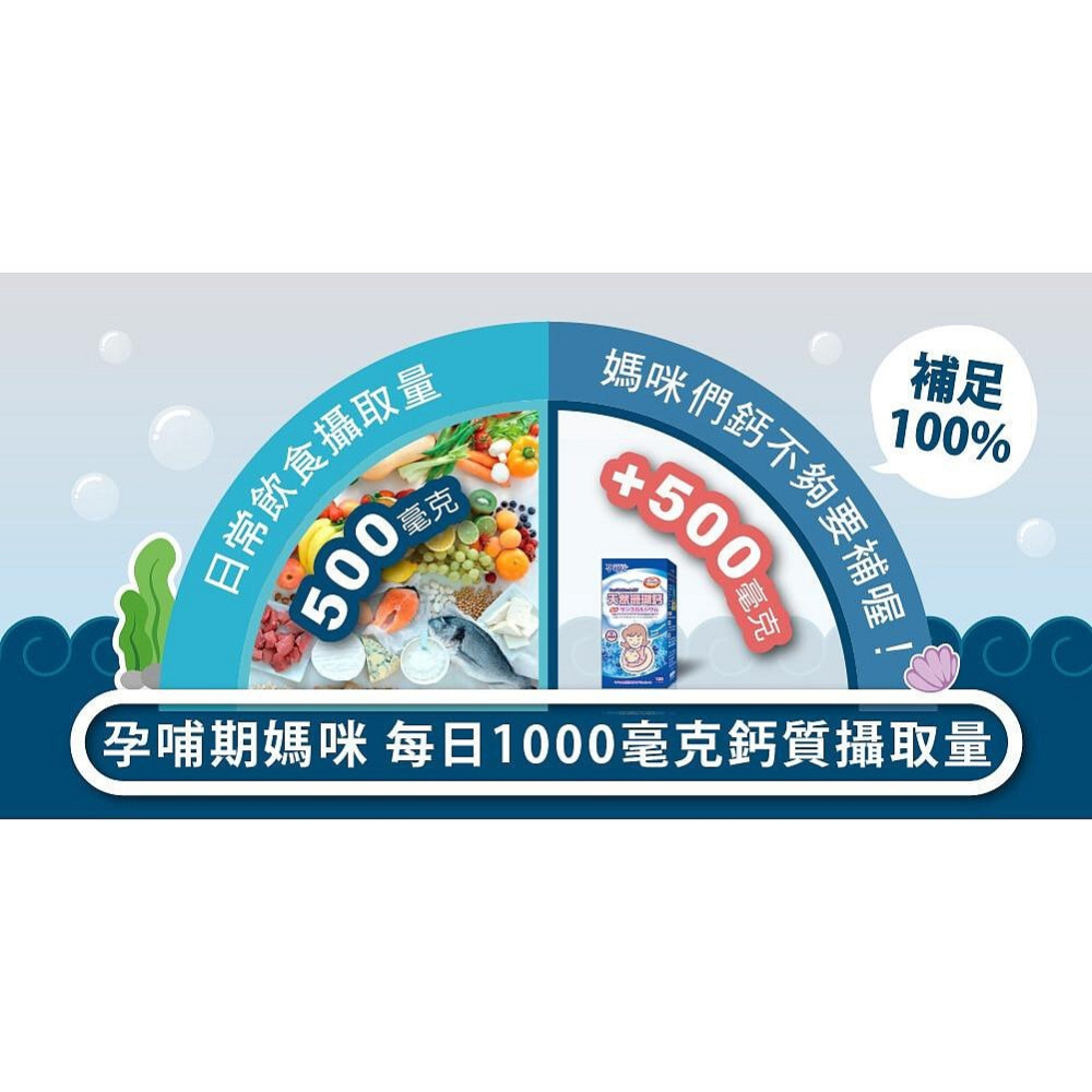 孕哺兒 新一代BP天然珊瑚鈣+D3膠囊 300粒-細節圖9