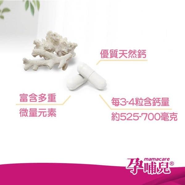 孕哺兒 新一代BP天然珊瑚鈣+D3膠囊 300粒-細節圖10