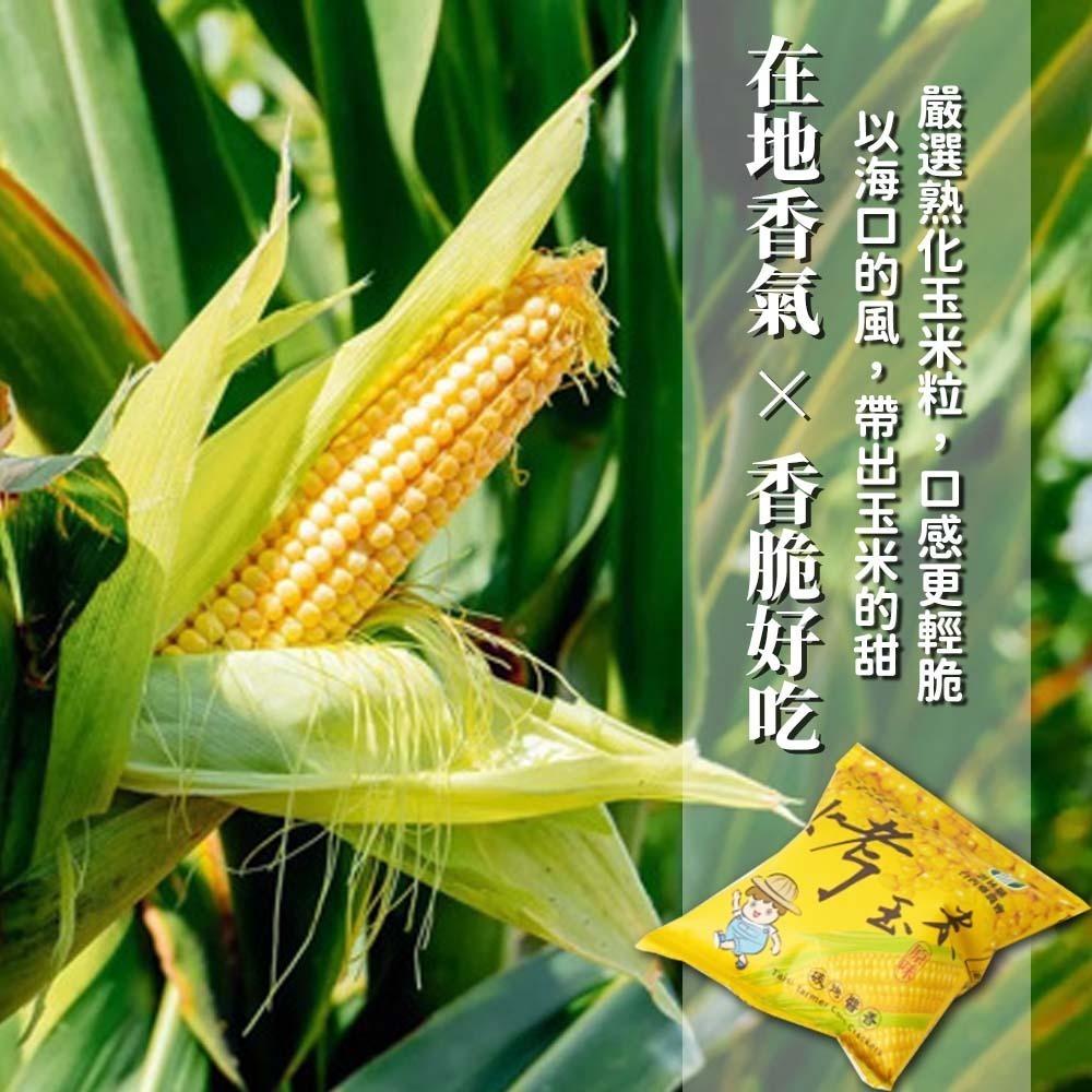 【愛淘購物】烤玉米 台西鄉農會 醬香炸玉米 整箱40袋入 玉米粒 香脆玉米 零食 伴手禮 點心 隨手包-細節圖6