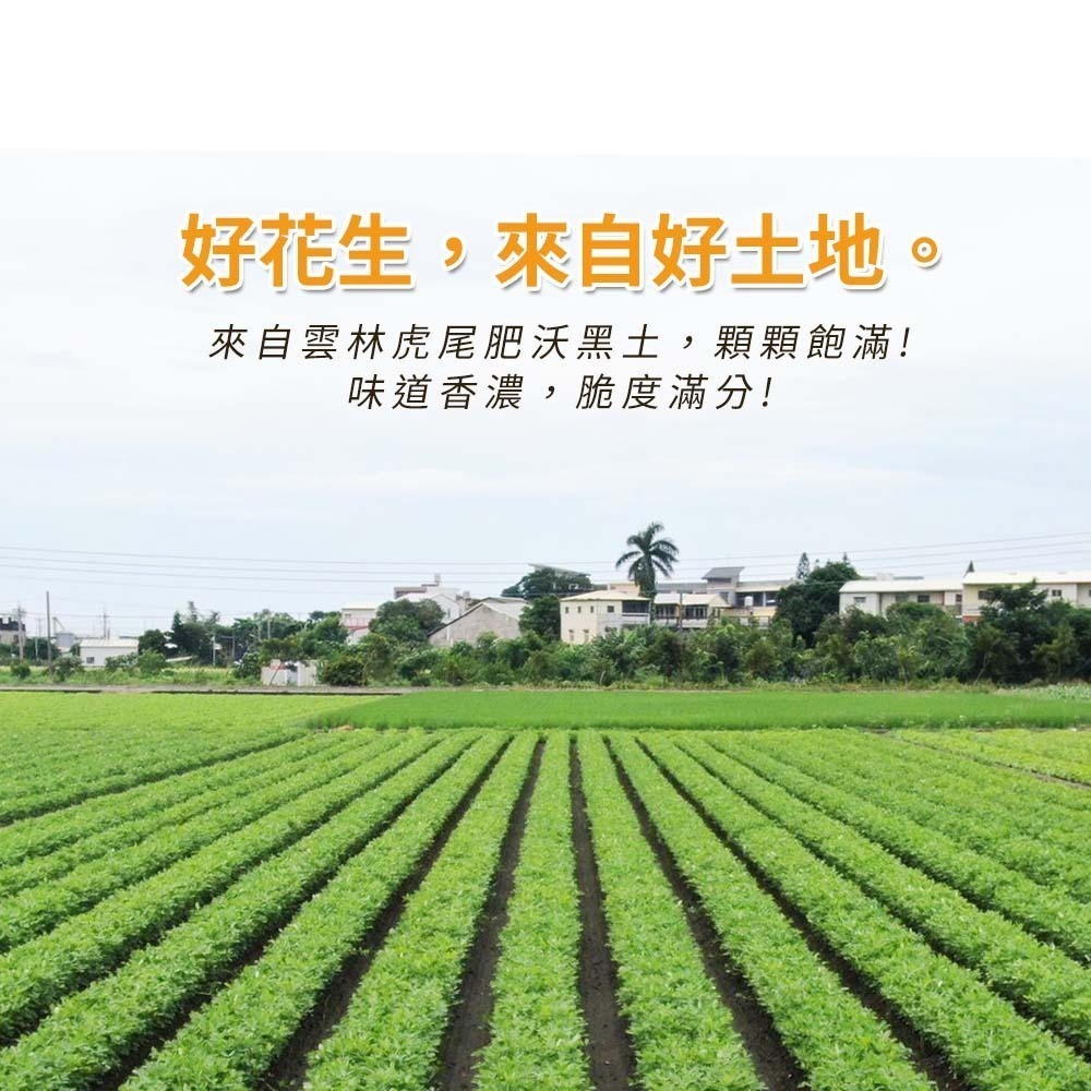 【愛淘購物】虎尾農會花生 原味花生 鹽炒花生仁 脆花生 鹽味 無殼花生 袋裝零食 即食花生-細節圖3