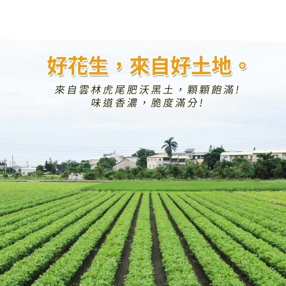 【愛淘購物】虎尾農會花生 原味花生 鹽炒花生仁 脆花生 鹽味 無殼花生 袋裝零食 即食花生-細節圖3