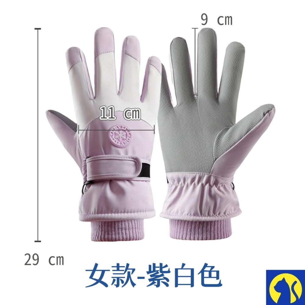 女士-紫白圓標 保暖手套【可觸螢幕】