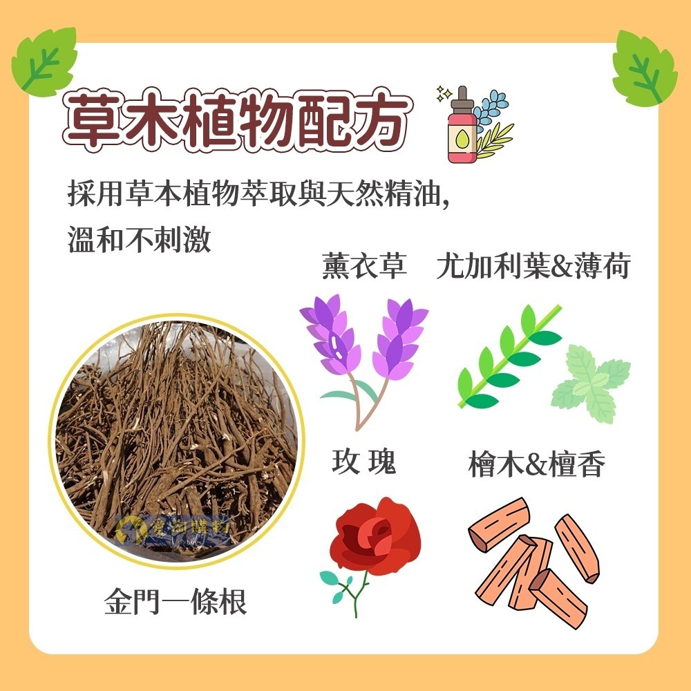 【愛淘購物】一條根 金門一條根 虎牌 龍牌 草本貼布 一條根精油貼布 滾珠凝露 舒涼噴霧 精油軟膏-細節圖4
