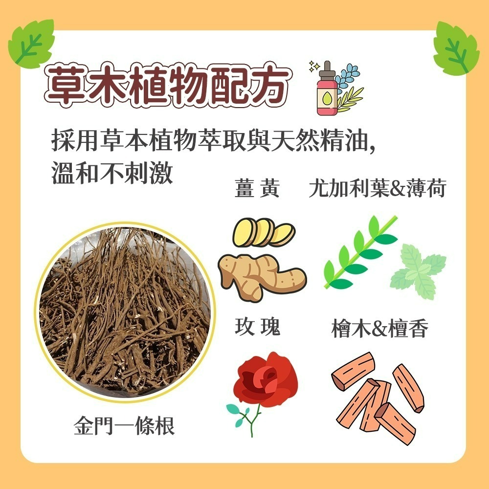 【愛淘購物】淨新 金門一條根 滾珠凝露 滾珠瓶 精油貼布 一條根貼布 金門 貼布-細節圖2