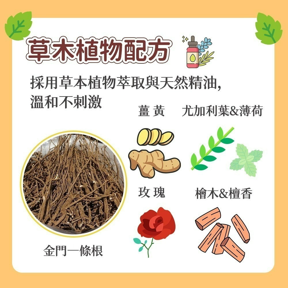 【愛淘購物】淨新 金門一條根 滾珠凝露 滾珠瓶 精油貼布 一條根貼布 金門 貼布-細節圖2