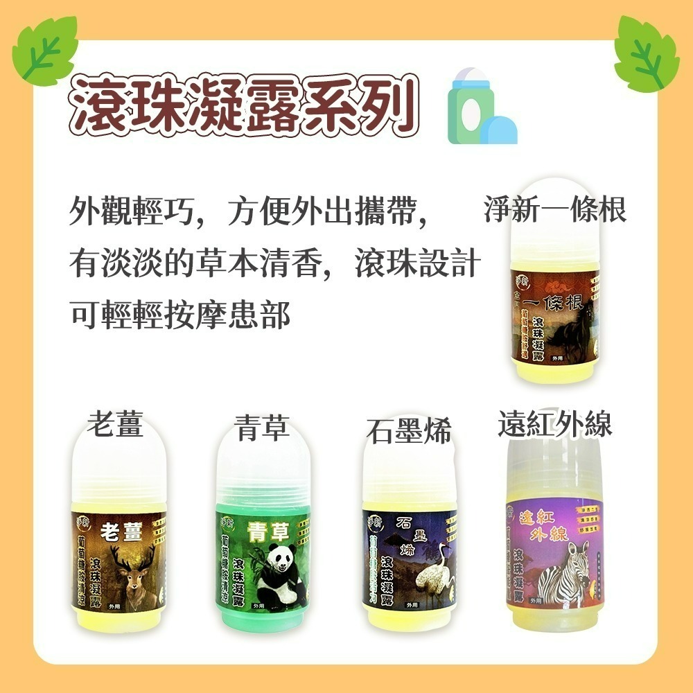 【愛淘購物】淨新 金門一條根 滾珠凝露 滾珠瓶 精油貼布 一條根貼布 金門 貼布-細節圖3