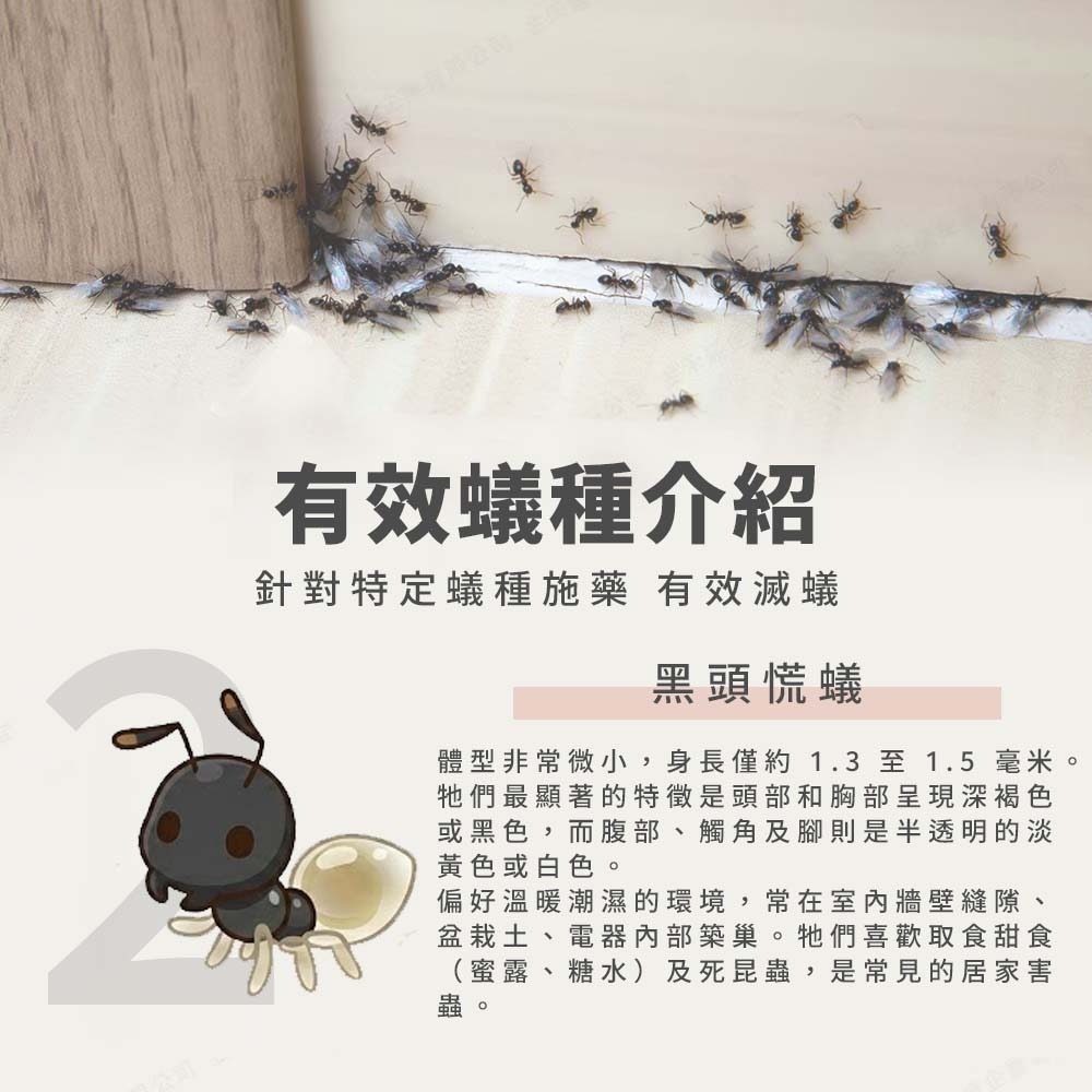 【愛淘購物】輕鬆點螞蟻絕 5克 凝膠餌劑 防治螞蟻 除蟻劑 凝膠餌劑 除蟻凝膠 螞蟻藥 有效除蟻 環境用藥-細節圖6