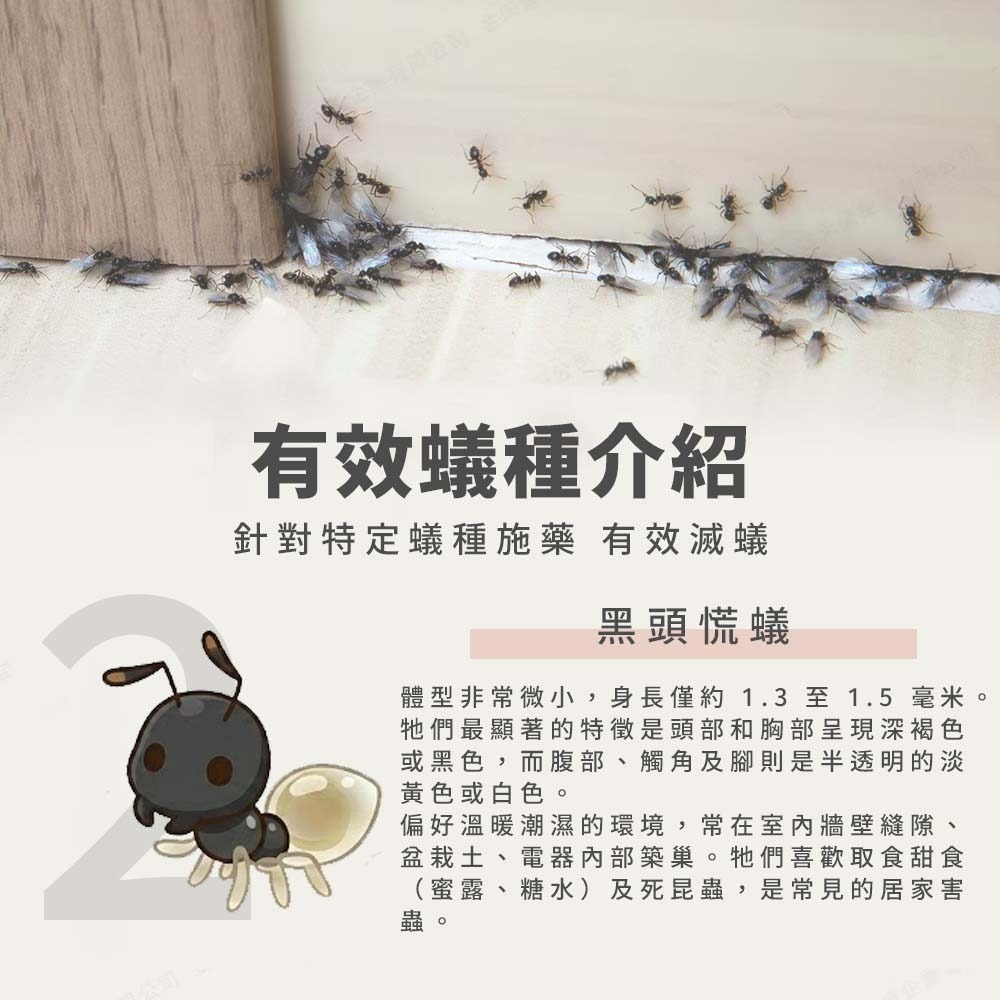【愛淘購物】輕鬆點螞蟻絕 5克 凝膠餌劑 防治螞蟻 除蟻劑 凝膠餌劑 除蟻凝膠 螞蟻藥 有效除蟻 環境用藥-細節圖6