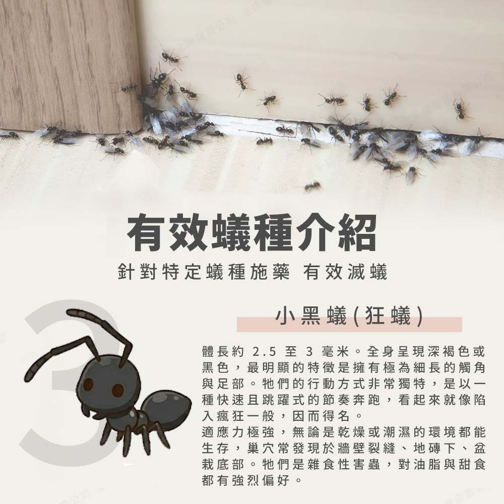 【愛淘購物】輕鬆點螞蟻絕 5克 凝膠餌劑 防治螞蟻 除蟻劑 凝膠餌劑 除蟻凝膠 螞蟻藥 有效除蟻 環境用藥-細節圖7