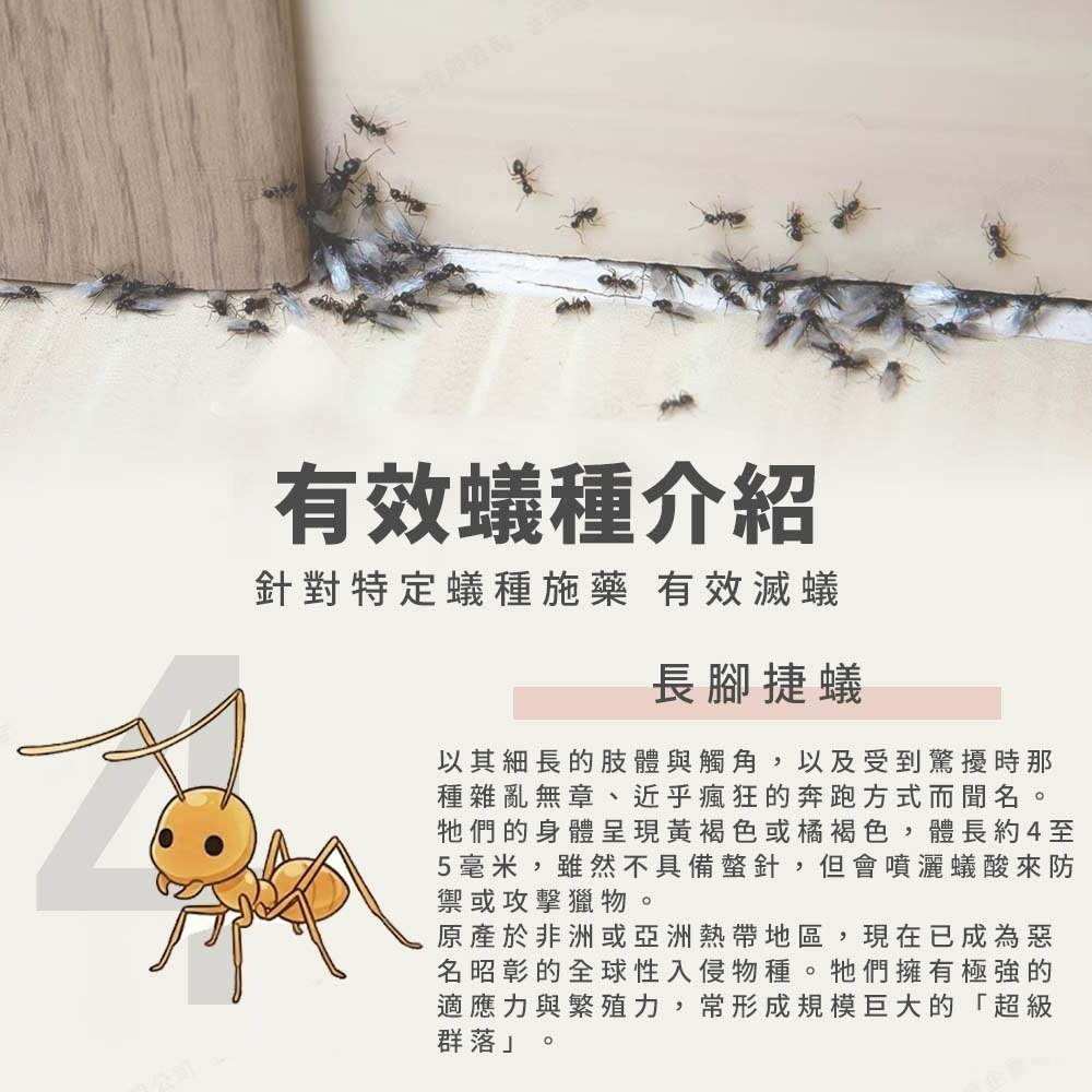 【愛淘購物】輕鬆點螞蟻絕 5克 凝膠餌劑 防治螞蟻 除蟻劑 凝膠餌劑 除蟻凝膠 螞蟻藥 有效除蟻 環境用藥-細節圖8