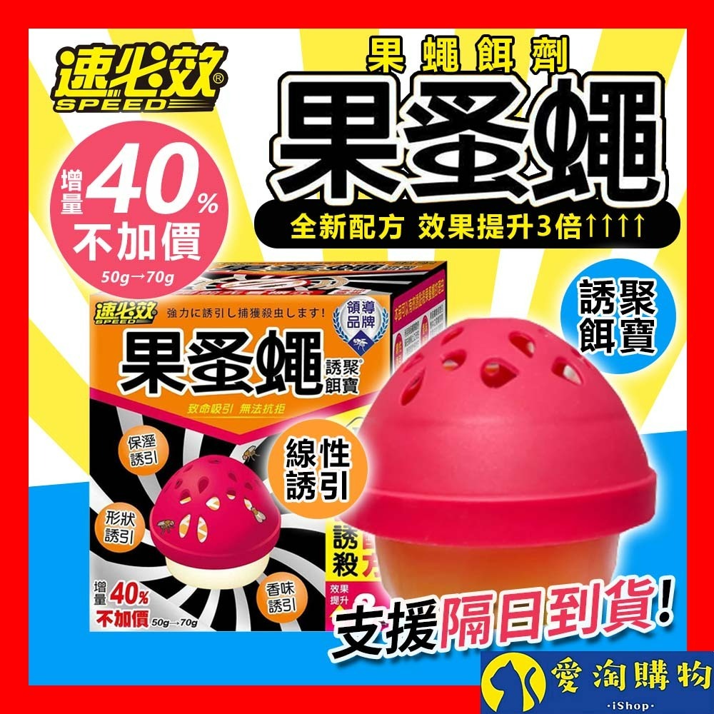 【愛淘購物】果蚤蠅 70g 果蠅餌劑 誘聚餌寶 速必效 果蠅餌劑 捕蠅 滅果蠅 除果蠅 蚤蠅 除蟲 抓果蠅